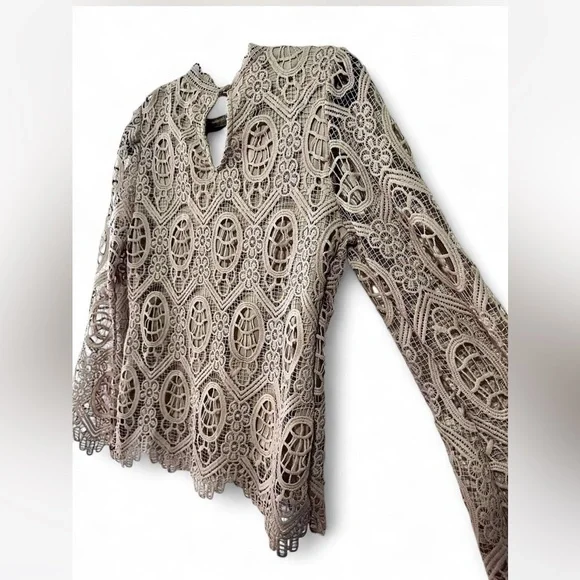 Ultra Pink Lace Blouse in Cream - Picture 7 of 11